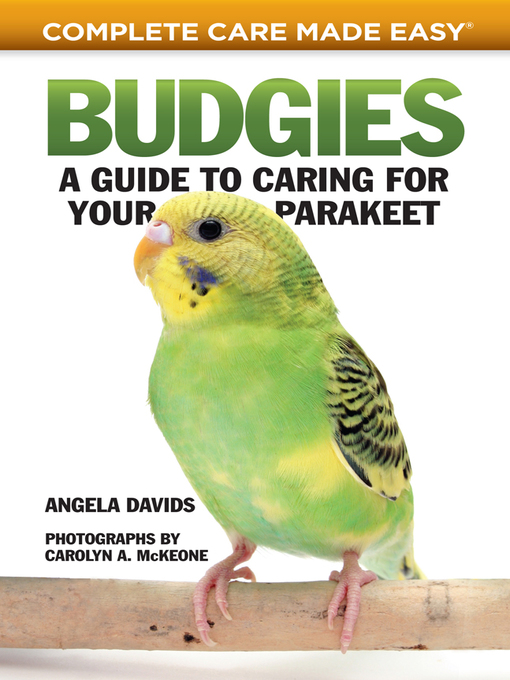 Title details for Budgies by Angela Davids - Available
